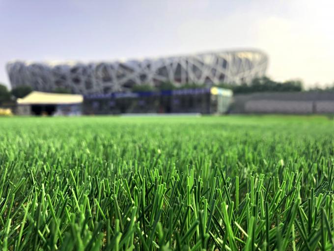 Gras Kunstmatige Gazon Geweven 50mm Hoogte van het voetbal Natuurlijke Gras 0