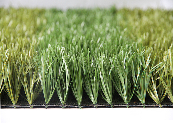 CHINA Van het de Sporten Kunstmatige Gras van AVG de anti-Uv Milieu het Grassgs Synthetische Certificatie van Ce leverancier