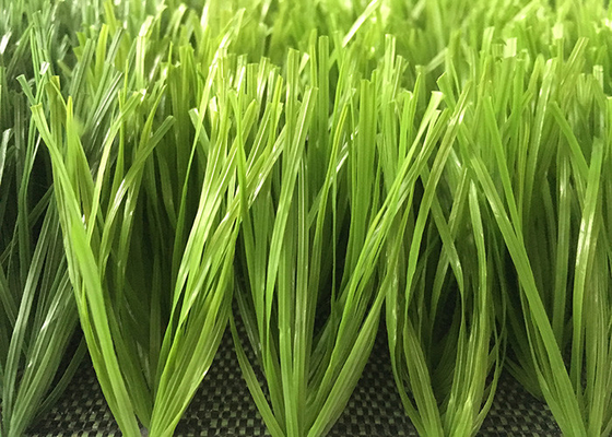 CHINA 50mm Dubbel Spined Voetbalpe Materieel Kunstmatig Gras Tweekleurig Uitstekend Bevindend Matte Appearance leverancier