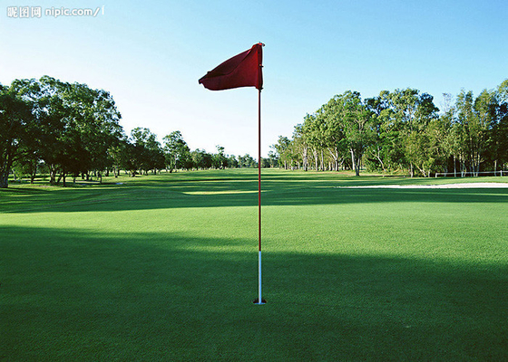 CHINA Duurzaam 13mm Tennis/Synthetische het Gras UVweerstand van het Golf Kunstmatige Gras leverancier