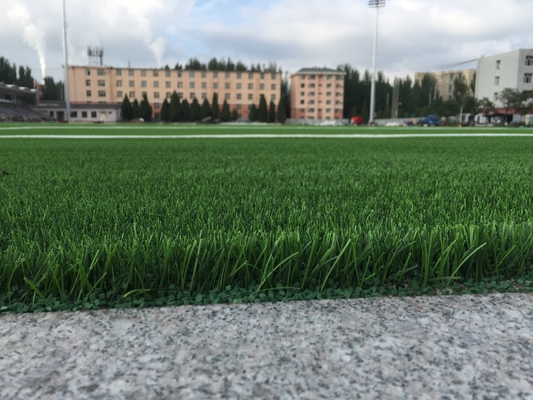 CHINA Het geweven Steunende Gras Aritificial van het Voetbalgras voor Voetbalgebied leverancier