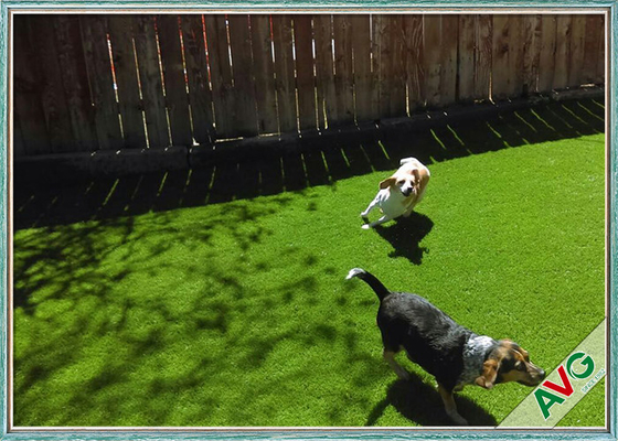 CHINA Kunstmatige Gras van het 35 MM. het Vriendschappelijke UVweerstand Huisdier/Synthetisch Gras voor Hond het Spelen leverancier