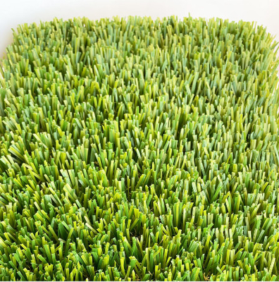 CHINA Het lichtgroene Kunstmatige Gras van de Aanwijsstokje Gele Tuin met SBR-Latexdeklaag leverancier