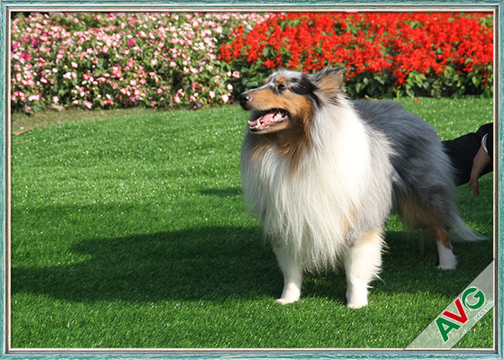 CHINA Binnen Synthetisch Huisdieren Kunstmatig Gras, het Openlucht Groen/Appelgroene Gebied van het Tapijtgras leverancier