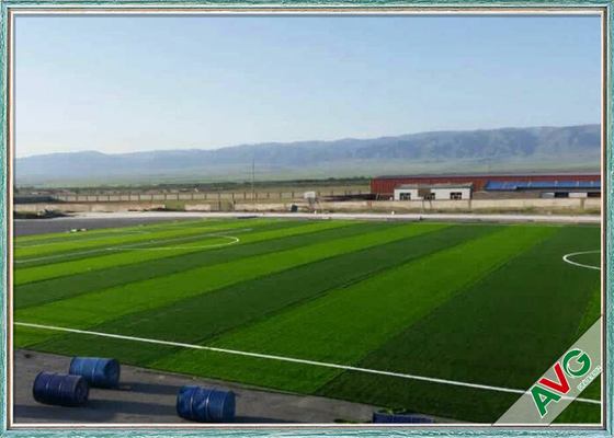 CHINA Professioneel Voetbal Vals Gras Anti - UVmonofilament PE Vals Gras voor Buitenkant leverancier