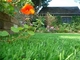 Groen Rekupereerbaar Tuin Kunstmatig Gras voor Decoratie, Huis Kunstmatig Gras leverancier