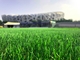 Gras Kunstmatige Gazon Geweven 50mm Hoogte van het voetbal Natuurlijke Gras leverancier