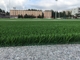 Het geweven Steunende Gras Aritificial van het Voetbalgras voor Voetbalgebied leverancier