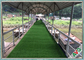 Duurzaam Stedelijk Groen makend Synthetisch Gras voor Kunstmatige Gazons met Goedkope Prijs leverancier