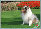 Verwijderbare Eco - Vriendschappelijk Synthetisch Huisdieren Kunstmatig Gras voor Huisdier Cat Carpet/Natuurlijke Tuin leverancier