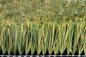 Gras 60mm Kunstmatig Gras Verklaard FIFA van het VOETBALvoetbal leverancier
