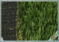 PE Materieel Plastic Tapijt voor Decoratie Draagbaar het Modelleren Kunstmatig Gras leverancier