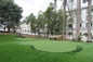 Pp + het Kunstmatige Gras van de Vachttuin met Heldere Kleur 5 Jaar Garantie leverancier