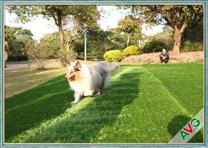 SBR-Latex/van het het Huisdieren Kunstmatige Gras van Pu het Steunende Gras van Eden Grass Recycled Synthetic Pet 0