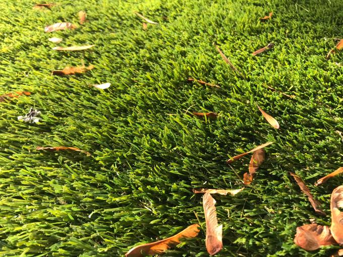 Het Grasbroodje 25mm van het tuin Kunstmatig Tapijt Natuurlijke Kleur 0