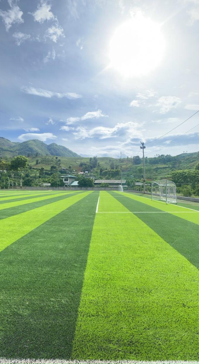 Duurzaam Kunstmatig het Voetbalgebied van het Voetbalgras 50mm Hoogte 0