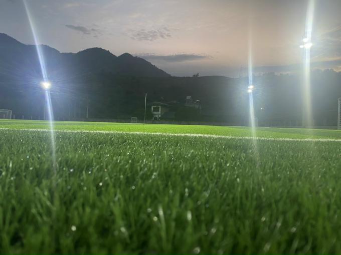 55mm van de het Grasvoetbal van het Hoogte het Kunstmatige Gras Synthetische Slijtvaste Gras 0