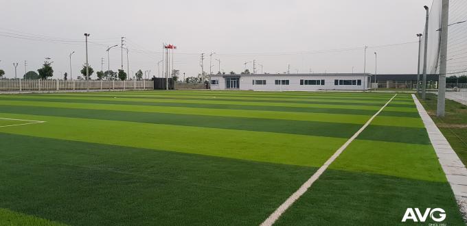 Hoge Duurzaamheid 50mm het Gras Kunstmatig Tapijt van het Grasvoetbal voor Voetbal 0