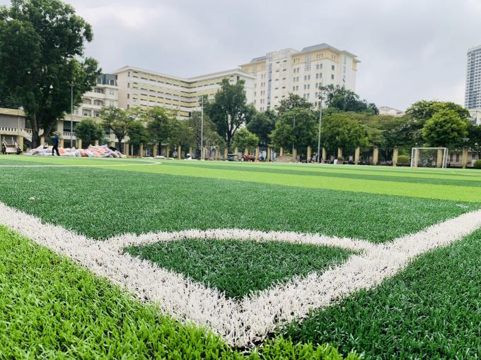 Groene van het het Gras Natuurlijke Gras van het Gras Kunstmatige Gras Synthetische Kunstmatige het Grasvoetbal 0