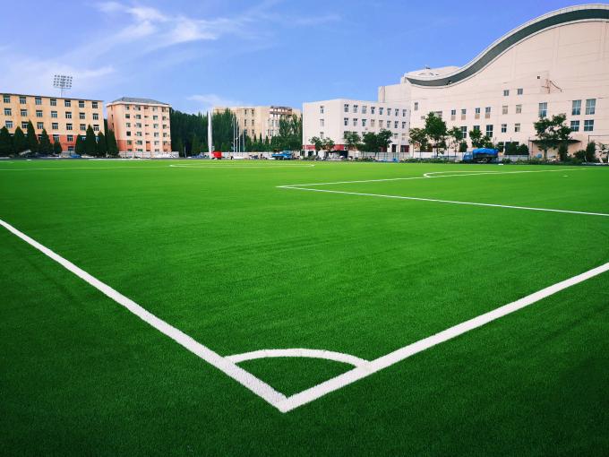 Het Kunstmatige Gras van het voetbalgras voor het Grasvoetbal van het Voetbalvoetbal 0