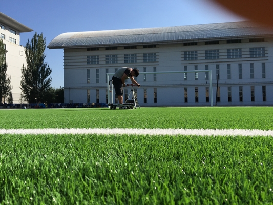 CHINA Hoog - van de het Gras Synthetisch Voetbal van het dichtheids gazon Voetbal het Grasgras kunstmatige 55mm leverancier