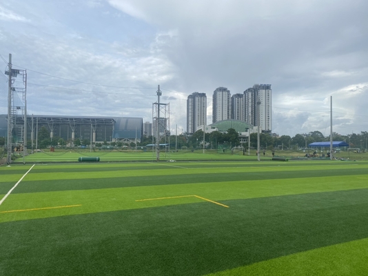 CHINA 55mm Diamond Shape Football Artificial Turf Vals Voetbalgras leverancier