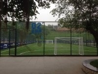 CHINA Hoog - dichtheids Kunstmatig Gras voor Voetbalgebieden, Voetbal Synthetisch Gras leverancier