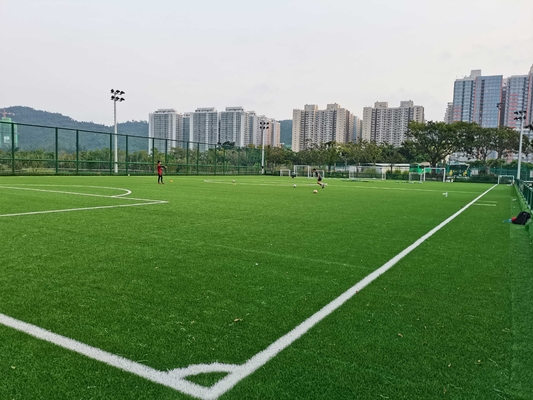 CHINA Gras van de het Grasvoetbal van beroepscesped het Kunstmatige met Fabrieksprijs 55mm leverancier