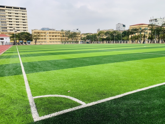 CHINA Kunstmatige Grassporten die voor Grond 50mm vloeren van de Voetbalvoetbal leverancier