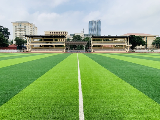CHINA 55mm Kunstmatige Grassporten die voor de Grond van de Voetbalvoetbal vloeren leverancier