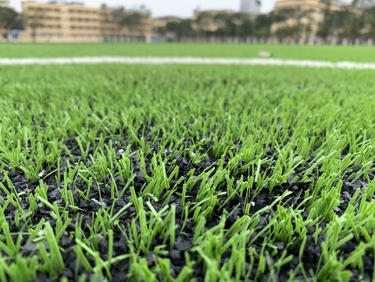 CHINA Het Tapijt van het het Grasgras van AVG 60mm voor de Voetbalgebied van het Fabrieksvoetbal Openlucht leverancier