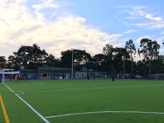 CHINA Multifunctioneel Kunstmatig Voetbalgras voor Openluchtvoetbalgebied leverancier