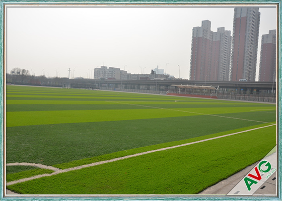 CHINA Hoog - van het de Voetbalgebied van het dichtheids Binnen/Openluchtvoetbal Kunstmatig het Grastapijt leverancier