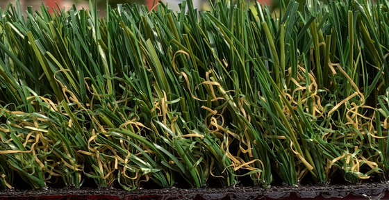 Het modelleren van Synthetisch Gras 2050mm van het Tuin Kunstmatig Gras leverancier