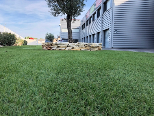 Modellerend Gras 25mm c-Vorm Kunstmatig Gras voor het Gras van het Tuinlandschap leverancier