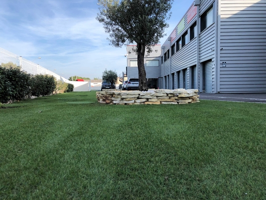 De kunstmatige Tuin die van Grasprijzen 30MM het Natuurlijke Gras van het Tuintapijt modelleren leverancier