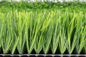 Synthetische het Gras Kunstmatige Gras &amp; Sporten die van het kwaliteits Pro Goedgekeurde Voetbal 55mm vloeren leverancier