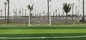 60mm van het Grascesped van het Beroeps Synthetisch Gras Kunstmatig het Voetbal Kunstmatig Gras voor Sportbevloering leverancier