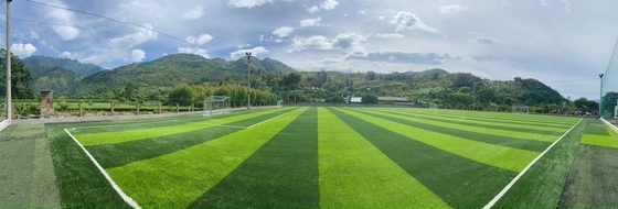 60mm het Multigras van de Doel Kunstmatige Voetbal voor Openlucht Binnenvoetbalgebied leverancier