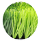 55mm van de het Grasvoetbal van het Hoogte het Kunstmatige Gras Synthetische Slijtvaste Gras leverancier