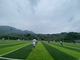 Multi Functioneel Voetbal Kunstmatig Gras voor de Vrije tijdsplaatsen van het Tuinpark leverancier