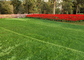 C Vorm Openlucht het Modelleren Kunstmatig Gras Vals Gras met Natuurlijke Verschijning leverancier