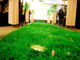 Schurend Weerstands Woon Binnen Kunstmatig Gras, Decoratief Vals Gras leverancier