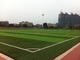 Het groene Synthetische Gras van de Voetbalspeelplaats, Speelplaats Vals Gras voor Buitenkant leverancier