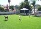 Het moderne Kunstmatige Gras van het Achtergrondhuishuisdier, Groen Synthetisch Gras voor Huisdieren het Spelen leverancier