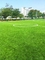 Openlucht Synthetisch Gras voor Speelplaatsen, Kunstmatig PE van het Speelplaatsgras Materiaal leverancier