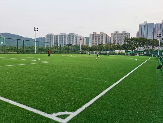 55mm Kunstmatig Gazon Kunstmatig de Voetbalgras van Voetbalcesped Synthetique leverancier