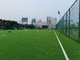 AVG 60mm van het het Grasgras van de Voetbalvoetbal de Kunstmatige Prijs van Futsal Gazon Synthetique voor Groothandel leverancier