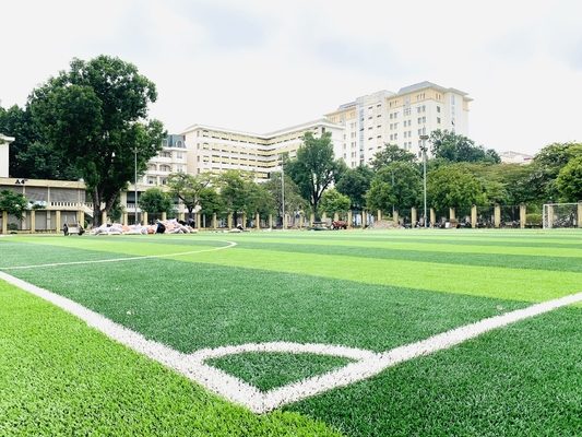 55mm van het het Gebiedsgras van de Honkbalvoetbal Synthetisch het Voetbal Groen Kunstmatig Gras leverancier