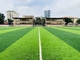 55mm Kunstmatige Grassporten die voor de Grond van de Voetbalvoetbal vloeren leverancier